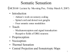 Somatosensory system
