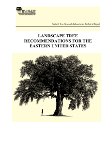 landscape tree recommendations for the
