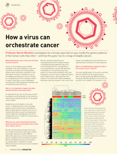 How a virus can orchestrate cancer