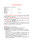 CLASSIFICATION,IDENTIFICATION OF MICRO