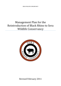 Management Plan for the Reintroduction of Black Rhino to Sera