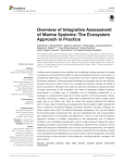 Overview of Integrative Assessment of Marine Systems: The