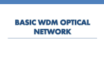 basic wdm optical network