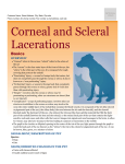 Corneal and Scleral Lacerations