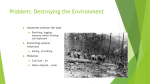 Problem: Destroying the Environment