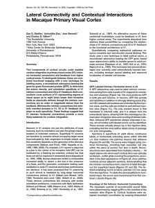 Lateral Connectivity and Contextual Interactions in Macaque