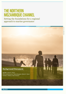 THE NORTHERN MOZAMBIQUE CHANNEL