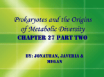 Prokaryotes and the Origins of Metabolic Diversity Chapter 27 Part two