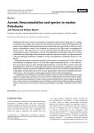 Arsenic bioaccumulation and species in marine polychaeta