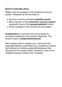 Acetate Acetylcholine (ACh)