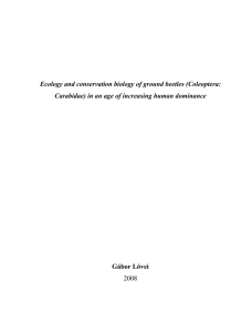 Ecology and conservation biology of ground beetles - REAL-d