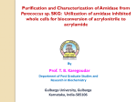 Purification and Characterization of Amidase from