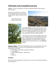 Field Study Of The Grasslands Ecosytem Expectations