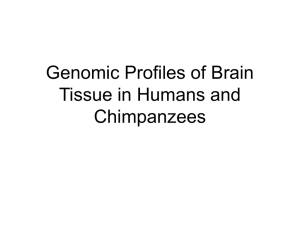 Genomic Profiles of Brain Tissue in Humans and