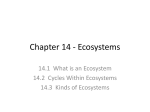 Chapter 14 - Ecosystems