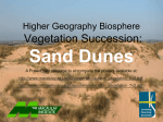 Dune Succession LTS resource