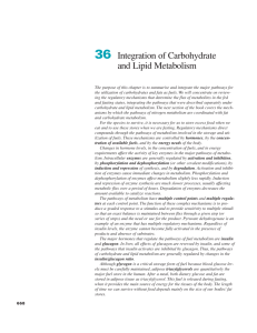 Ch36-Integration of Carbohydrate and Lipid