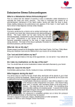 Dobutamine Stress Echocardiogram