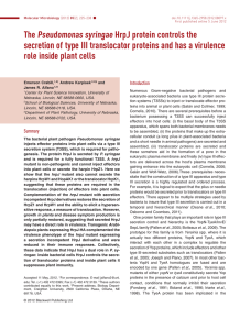 The Pseudomonas syringae HrpJ protein controls the secretion of