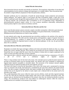 rumen microbiology-2012