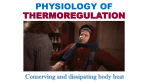 Thermoregulation (for review)