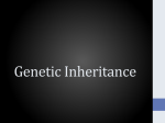 Genetic Inheritance - Mr. Lincoln`s Science Wikipage!