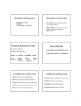 Lamb Mechanisms Drug Action