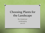 Choosing Plants for the Landscape