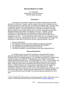 Glucose Balance In Cattle