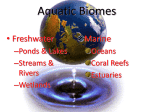 highest species diversity of all fresh water ecosystems.