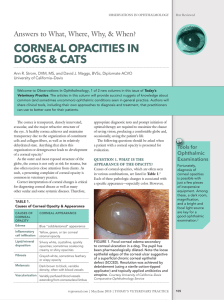 CORNEAL - Today`s Veterinary Practice