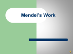 Mendel`s Work