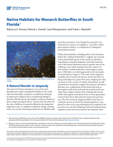 Native Habitats for Monarch Butterflies in South Florida