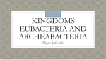 Kingdoms Eubacteria and Archeabacteria