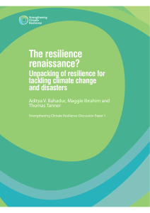 The resilience renaissance? Unpacking of resilience for tackling