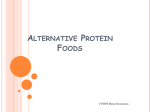 Alternative Protein Foods
