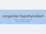 congenital Hypothyroidism - Baylor College of Medicine