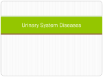 11.3 Urinary Diseases ppt