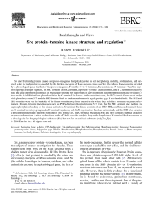 Src protein–tyrosine kinase structure and regulation
