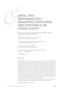 optic disc abnormalities – diagnosis, evolution and influence on