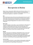 read about some of the key species in Bexley