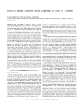 Effect of Spatial Attention on the Responses of Area MT Neurons