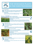 Top 10 invasive plants.indd - Coos Watershed Association