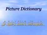 Picture Dictionary