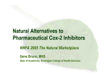 Natural Alternatives to Pharmaceutical Cox