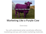 Marketing Like a Purple Cow