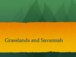Grasslands - BAschools.org
