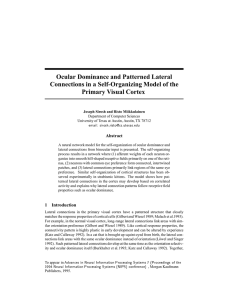 Ocular Dominance and Patterned Lateral Connections in a Self