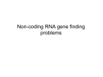 Non-coding RNA gene finding problems