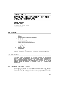 Optical Generation of the Visual Stimulus
